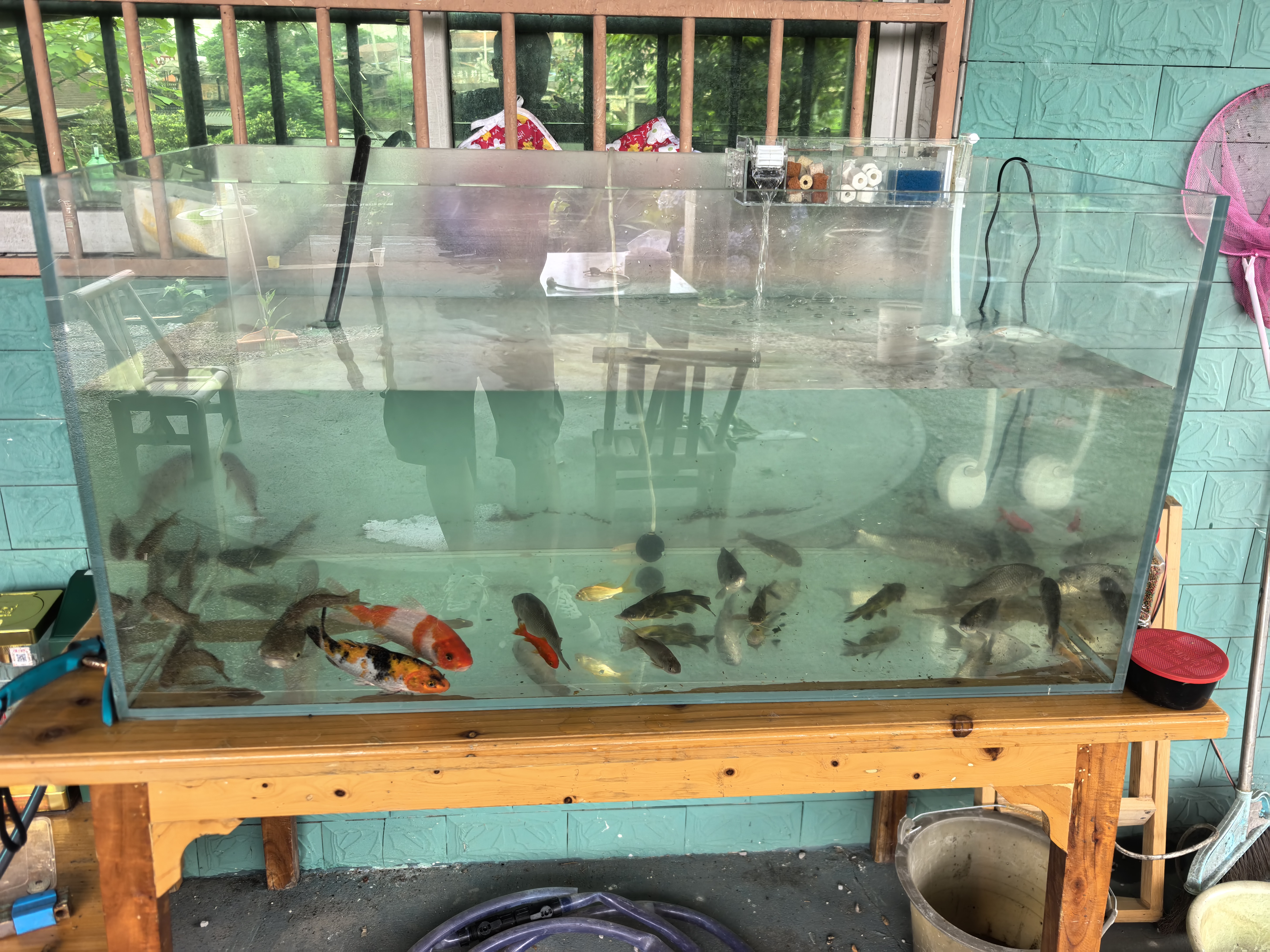 金利佳（Jeneca）鱼缸过滤器盒循环系统壁挂式小型循环抽水泵潜水乌龟缸外挂氧气泵 五滤仓+水泵滤材【适用32-40cm鱼缸】 实拍图