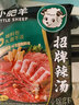 小肥羊火锅底料调料香辣浓郁 分包式辣汤 235g 招牌辣汤 实拍图