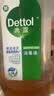 滴露（Dettol）消毒液消毒水衣物除菌液洗衣服地板杀菌除螨消毒喷雾片非84次氯酸 【灭活HPV16】消毒液松木1.8L*2瓶 实拍图