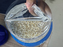 桂格（QUAKER）即食燕麦片1000克罐装 营养早餐 膳食纤维 零添加白砂糖 实拍图