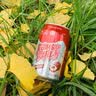 冰峰（ICEPEAK）酸梅汤风味饮料中华老字号310ml*24罐乌梅浓缩汁饮料整箱装 实拍图