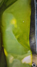源兴（YUANXING）帆布货车篷布加厚防水布防雨布户外遮阳布苫布防晒遮雨蓬布工程布 2米*2米 实拍图