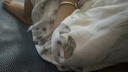 婧麒（JOYNCLEON）儿童睡衣竹棉纱布春夏宝宝家居服套装男童女童空调服 Jyf195982 实拍图