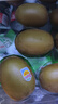 佳沛（zespri）新西兰金果10粒巨大果单果146-175g 端午节礼物水果礼盒 猕猴桃 实拍图