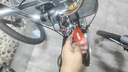 京东京造 CT300城市自行车7速变速成人学生男女士通勤单车26英寸陶瓷黑 实拍图