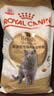 皇家猫粮 英短成猫粮 BS34 通用粮 12月以上 2KG 实拍图