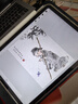 闪魔适用iPad Pro 11/air5/4类纸膜绘画书写专用膜2022/2021/2020款苹果11/10.9英寸平板电脑磨砂膜 实拍图