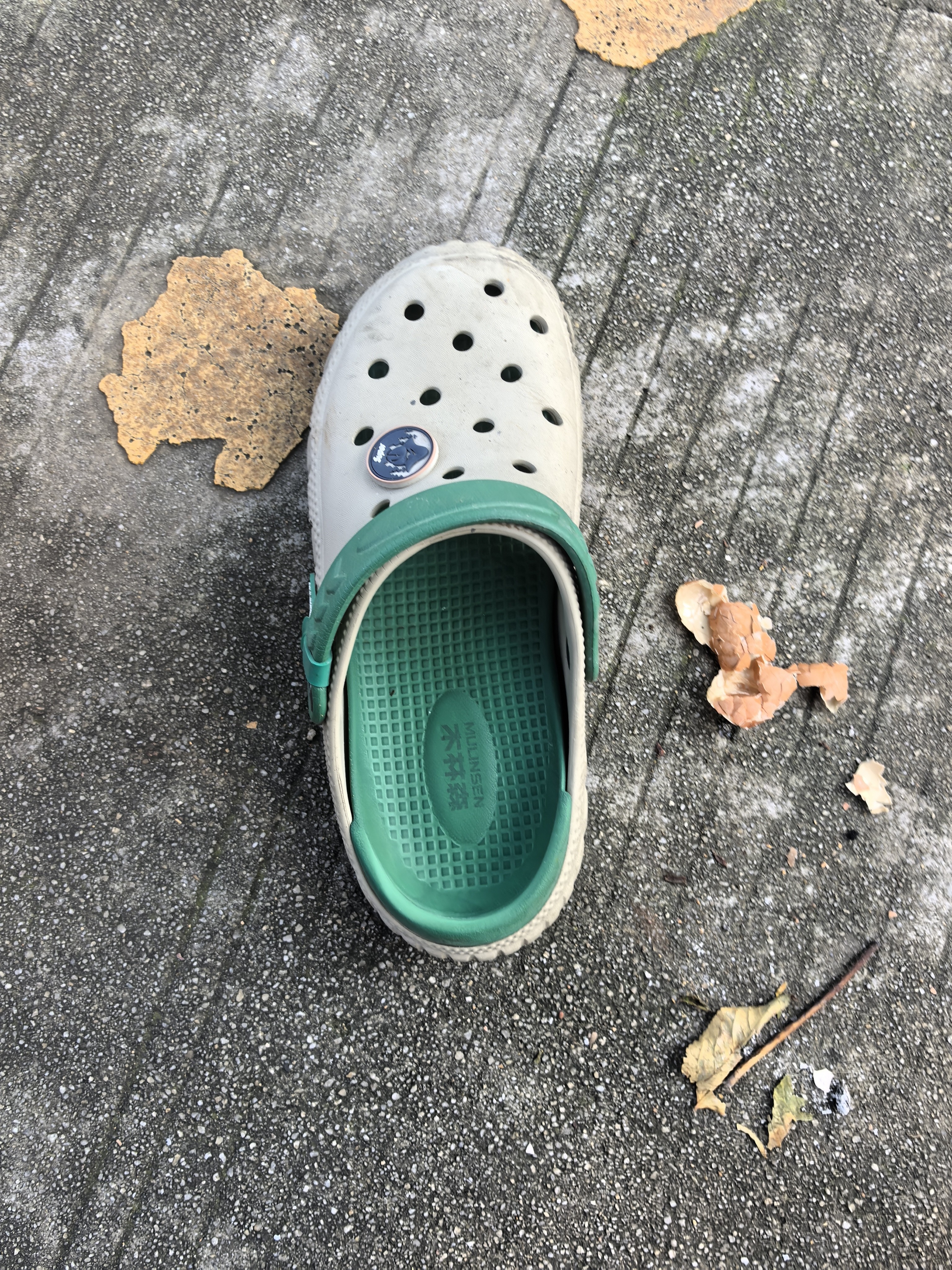 泰兰尼斯宝宝学步鞋夏季儿童凉鞋男女童包头防滑户外沙滩鞋白/黑19码 实拍图