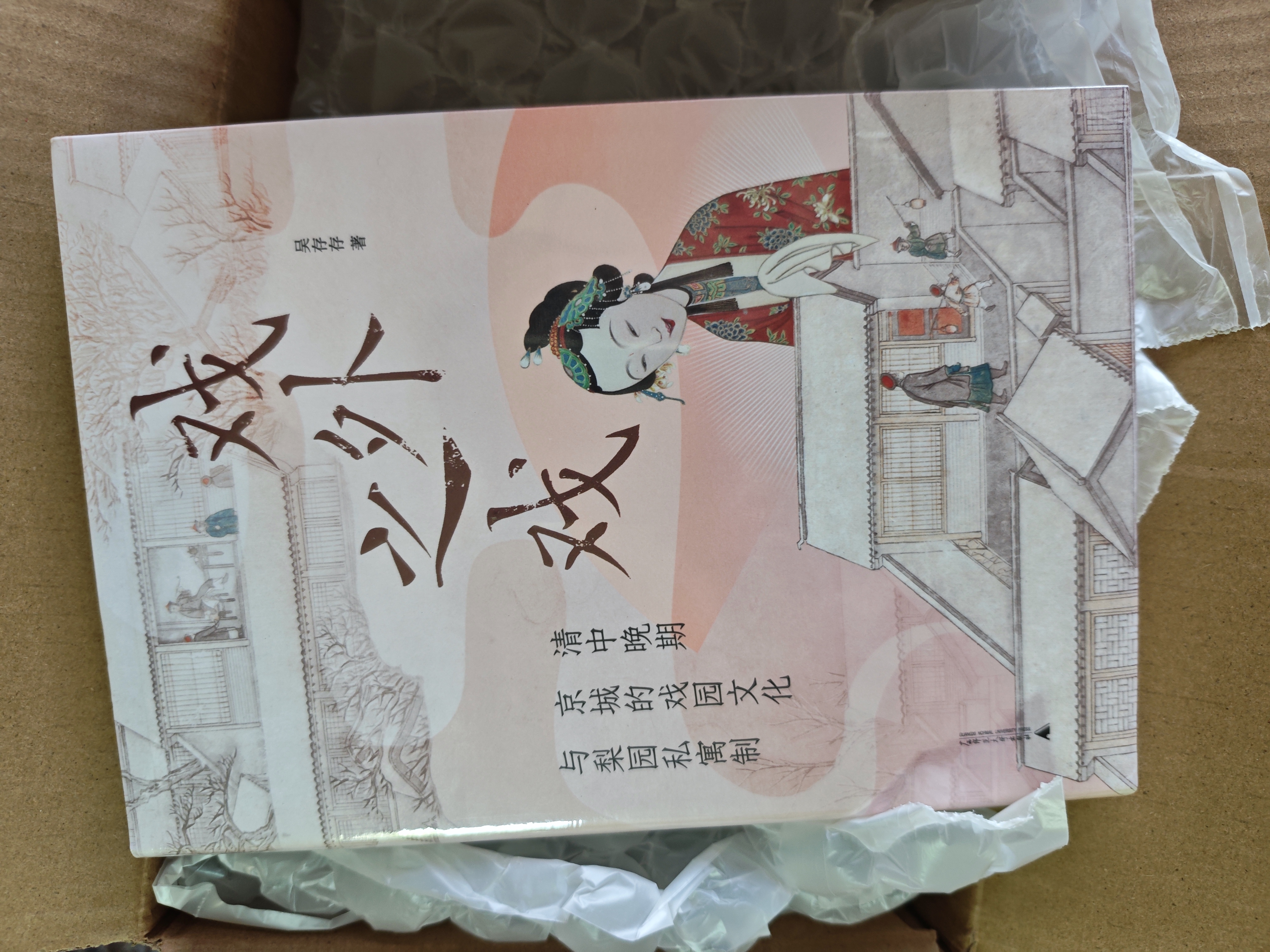大学问·戏外之戏：清中晚期京城的戏园文化与梨园私寓制（关注清代流行文化、性别与情爱，学者马克梦、陶慕宁、陆大伟、谷曙光推荐） 实拍图