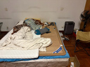 亚朵星球薄床垫宿舍记忆棉海绵学生宿舍单人地铺榻榻米软折叠睡垫90x190 实拍图