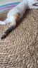 憨憨乐园猫抓板防剑麻草绳猫爪板猫抓垫不掉屑磨爪猫爪垫地毯睡垫用品 实拍图