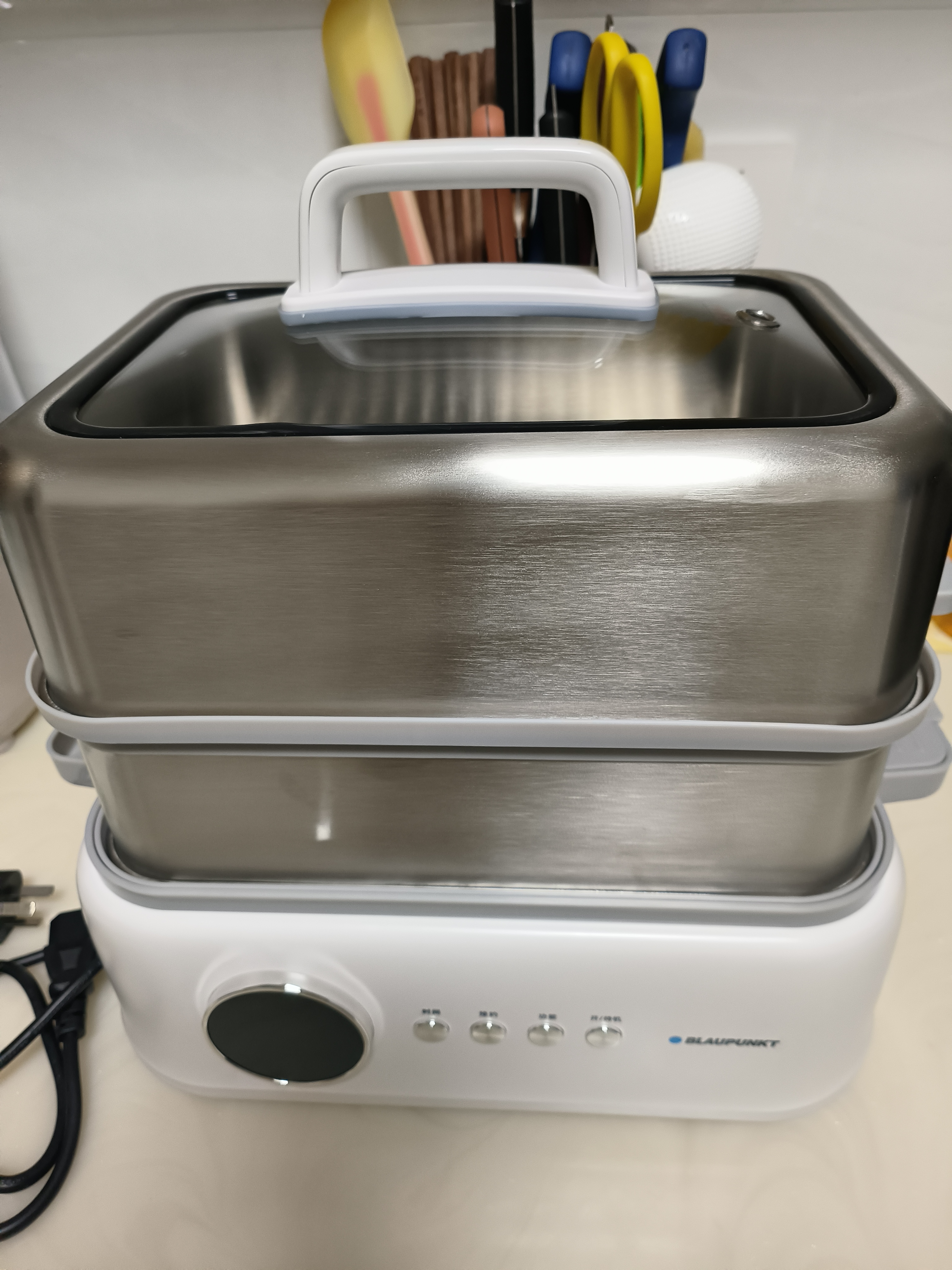 蓝宝（BLAUPUNKT）不锈钢电蒸锅多功能蒸炖锅10L双层蒸笼蒸炖一体24H智能预约煮锅蒸包子电炖锅ZG03B 实拍图