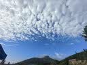 兼彩防晒手套女防滑速干透气夏季薄款露指冰丝钓鱼手套户外骑行手套男 实拍图