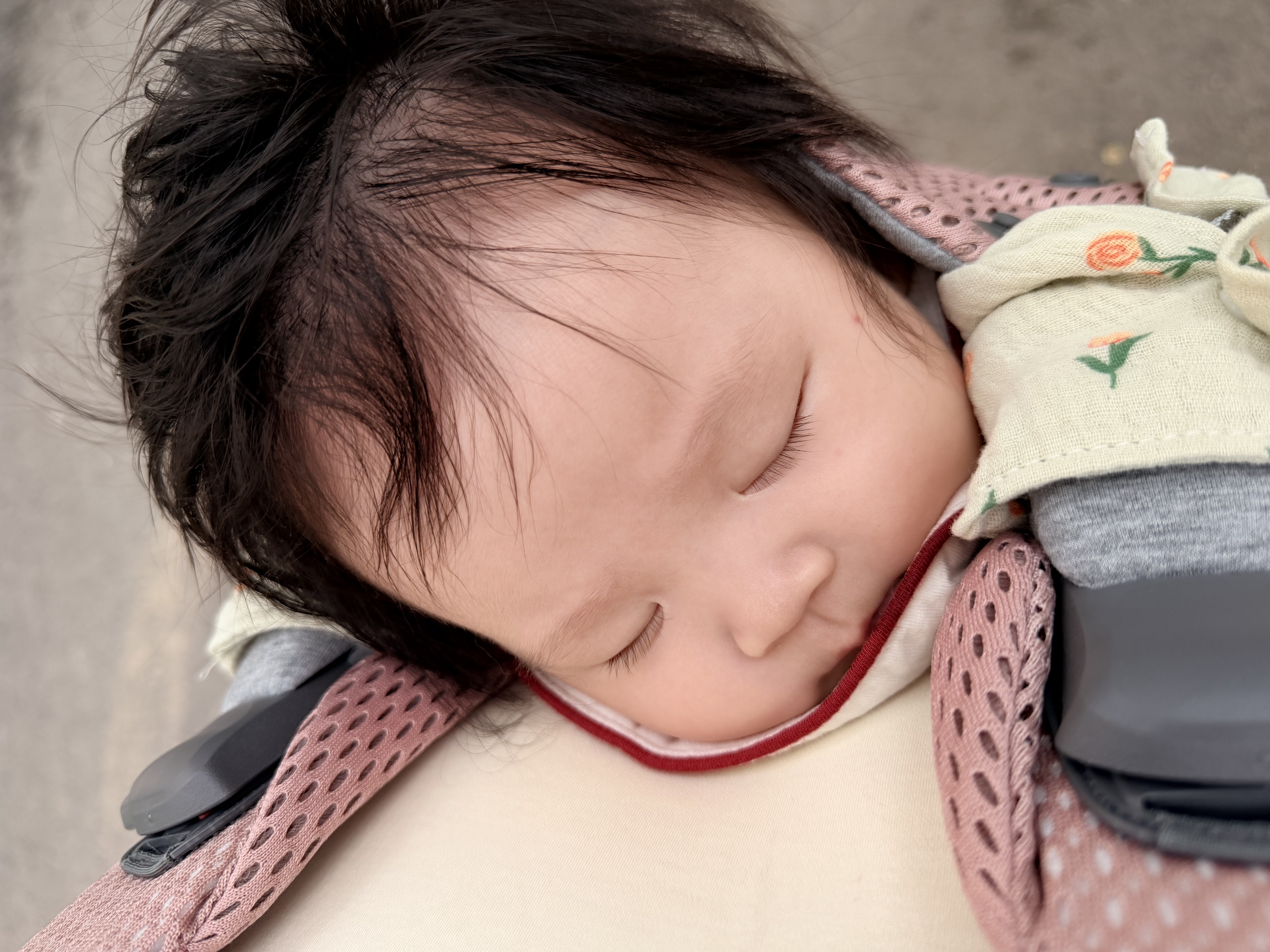 BabyBjorn瑞典品牌进口透气婴幼儿背带抱娃神器Harmony背带0-3岁 达斯丁粉 实拍图