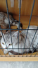 普安特宠物驱虫药猫咪驱虫体内外驱跳蚤犬虱非泼罗尼爱滴克+内驱 实拍图