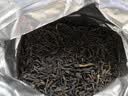 中茶茶叶凤凰单枞乌龙茶凤凰单丛夜来香特级纸包200g中粮茶叶 实拍图