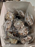碧翠园蛋白棒能量棒代餐燕麦棒水果味25支*20g谷物棒饱腹零食 实拍图