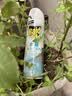 雷达（Raid）杀虫剂喷雾550ml*2瓶水基无香型 植物友好 实拍图
