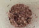 穗格氏（SHEGURZ）5红元气即食燕麦片1000g 冲泡即食枸杞红枣营养早餐冲饮谷物代餐 实拍图
