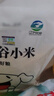 硃碌科 有机红谷黄小米5斤 新米吃的小米粥 东北有机小黄米杂粮粗粮 实拍图
