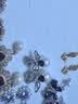 XUPING旭平首饰仿水晶【星芒蝶舞】时尚气质优雅百搭甜美蝴蝶仿珠耳钉送礼物 紫色 实拍图