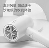 飞科（FLYCO）电吹风机家用大功率吹风筒恒温护发小巧便捷三档冷热风快速干发大功率 【飞科旗下博锐品牌】PH1621简约白 实拍图