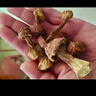 姬松茸干货500g无熏硫巴西菇滋补菇特产松茸菇特级姬松茸煲汤 500g 实拍图