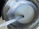 麦德氏IN犬猫高钙0乳糖绵羊奶粉300g/罐8倍乳铁蛋白幼犬猫羊奶粉狗狗 实拍图