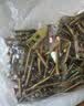 乐卡利 打入式石膏板膨胀螺丝 高锰钢彩锌石膏板专用膨胀钉铁飞机塞 实拍图