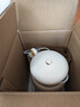九阳（Joyoung）豆浆机0.6L轻巧容量316L不锈钢破壁机小型家用多功能细腻免滤榨汁机D2526Pro 实拍图