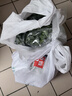 房山平菇300g 实拍图