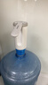 志高（CHIGO）抽水器桶装水 电动抽水泵饮水机纯净水取水器自动上水器MX-H17 实拍图