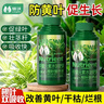 领沃观叶植物专用营养液绿植通用肥阳台盆栽通用型中量元素水溶肥 实拍图