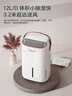 百奥（PARKOO）除湿机/抽湿机 除湿量12升/天 家用轻音吸湿器地下室干燥机干衣净化 白胖子系列PD22SA-12 实拍图