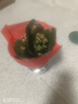 【带花苞发】稀有金狐狸长寿花盆栽重瓣四季开花室内客厅阳台花卉 带花苞【红色】配绿色加仑盆 实拍图