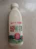 天润新疆鲜奶 A2β-酪蛋白 3.8g优质蛋白鲜牛奶低温奶 480g*1瓶 实拍图