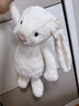 Jellycat害羞乳白色邦尼兔动物毛绒玩偶安抚玩偶娃娃送礼生日礼物 害羞乳白色邦尼兔 Huge 实拍图