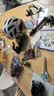 大行（DAHON）自行车锁五位密码锁通用公路车山地车锁防盗自行车锁 黑色【带锁架】 实拍图