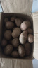 【真便宜】云南红皮土豆高原黄心土豆马铃薯红皮黄心洋芋减脂蔬菜 红皮土豆 9斤 净重 单果1-3两 实拍图