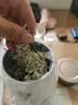 草木方莓茶90g 特级野生降三月新茶高搭湖南永顺莓茶霉茶藤茶 实拍图