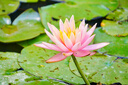 适马（SIGMA）16-300mm f3.5-6.7 DC OS ｜Contemporary 半画幅 远摄变焦镜头 旅游风光人像（索尼E卡口） 实拍图