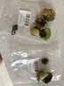 疯狂水草浮萍水草水上和鱼共养金鱼缸造景古法养鱼净化水质水芙蓉 （鱼池推荐）鱼池造景套餐一 实拍图