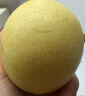 京喜加赵州皇冠梨河北皇冠梨产地直发 带箱2斤小花皮（单果200g+） 实拍图