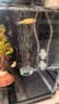 画法几何鱼缸增氧泵养鱼氧气泵小米米家智能鱼缸专用 米家鱼缸专用增氧泵【贈全套配件】 实拍图