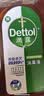 滴露（Dettol）消毒液洗衣衣物消毒水750mL 除螨杀菌混洗无忧 家居地板消毒 非84 实拍图