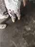 倍可安卡通鲨鱼拼色款儿童雨鞋男童雨靴女宝水鞋防水幼儿小学生上学专用 公主粉【雨鞋】 15 cm内长【脚长14.5/约2-3岁穿】 实拍图