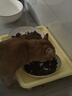诚实一口P40全价猫粮 成猫幼猫80%高鲜肉长肉美毛养胃鸡鱼口味通用型1.5kg 实拍图