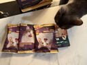 网易严选全价冻干双拼紫金烘焙猫粮 成幼猫高鲜肉【囤货装】1.5kg*4袋 实拍图