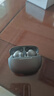 魅蓝魅族lifeme Blus 4 HiFi降噪耳机 真无线蓝牙耳机 -58dB 5.5K宽频降噪 LHDC高清解码 滑动音量调节 实拍图