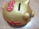 侑家良品金猪存钱罐 只进不出送孩子儿童六一儿童节 生日礼物 大号 实拍图